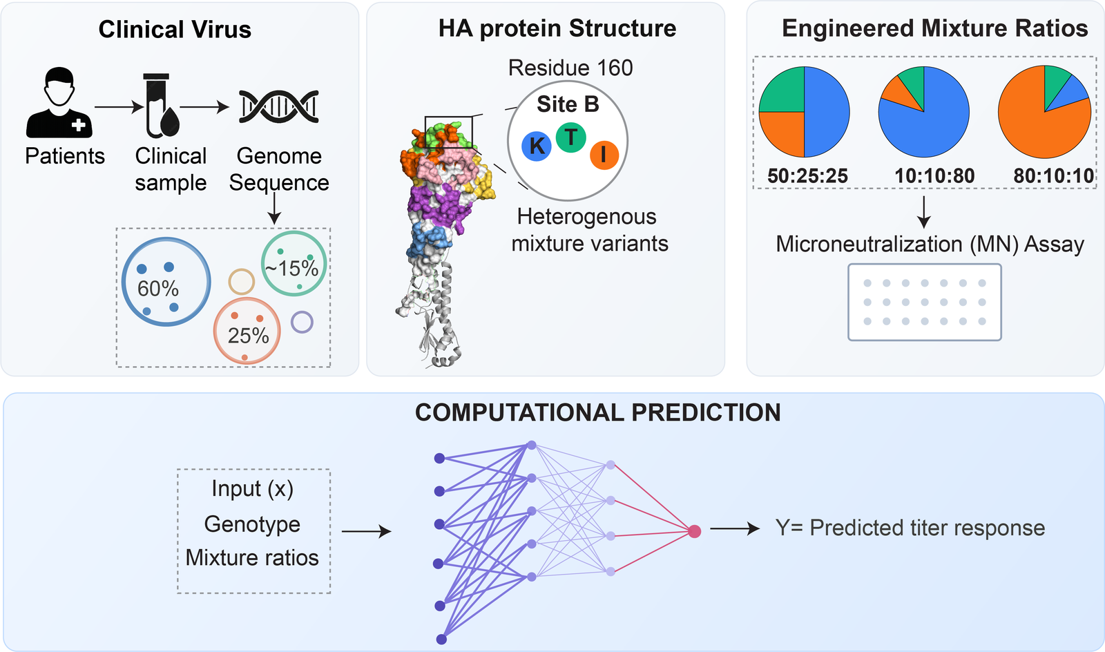 Viral genomics and vaccine analysis figure
